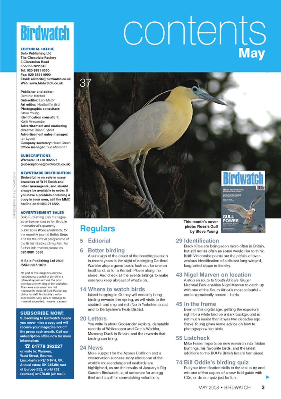 Birdwatch Magazine Preview Pages