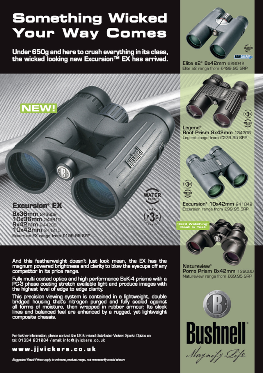 Birdwatch Magazine Preview Pages