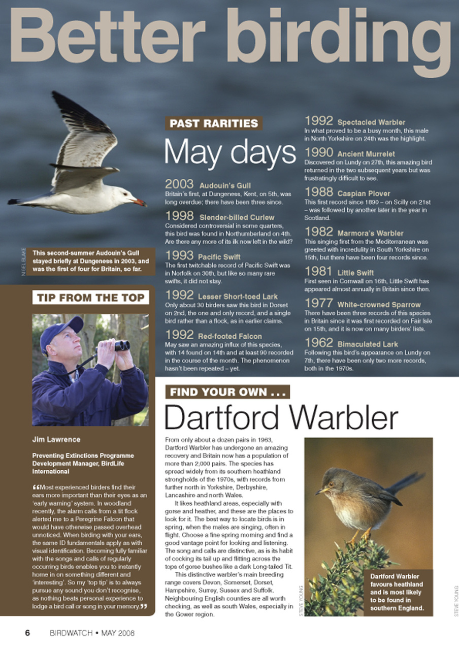 Birdwatch Magazine Preview Pages