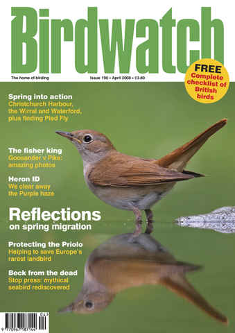 Birdwatch Magazine issue April 2008