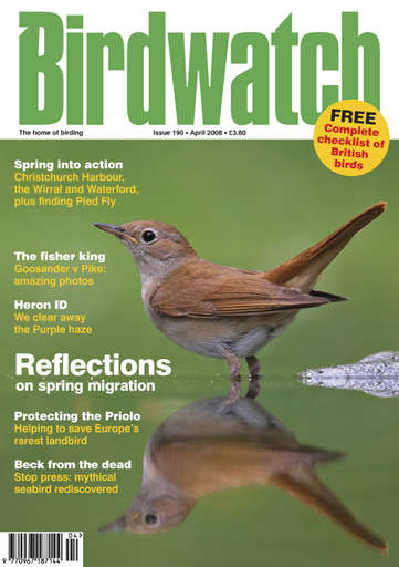 Birdwatch Magazine issue 