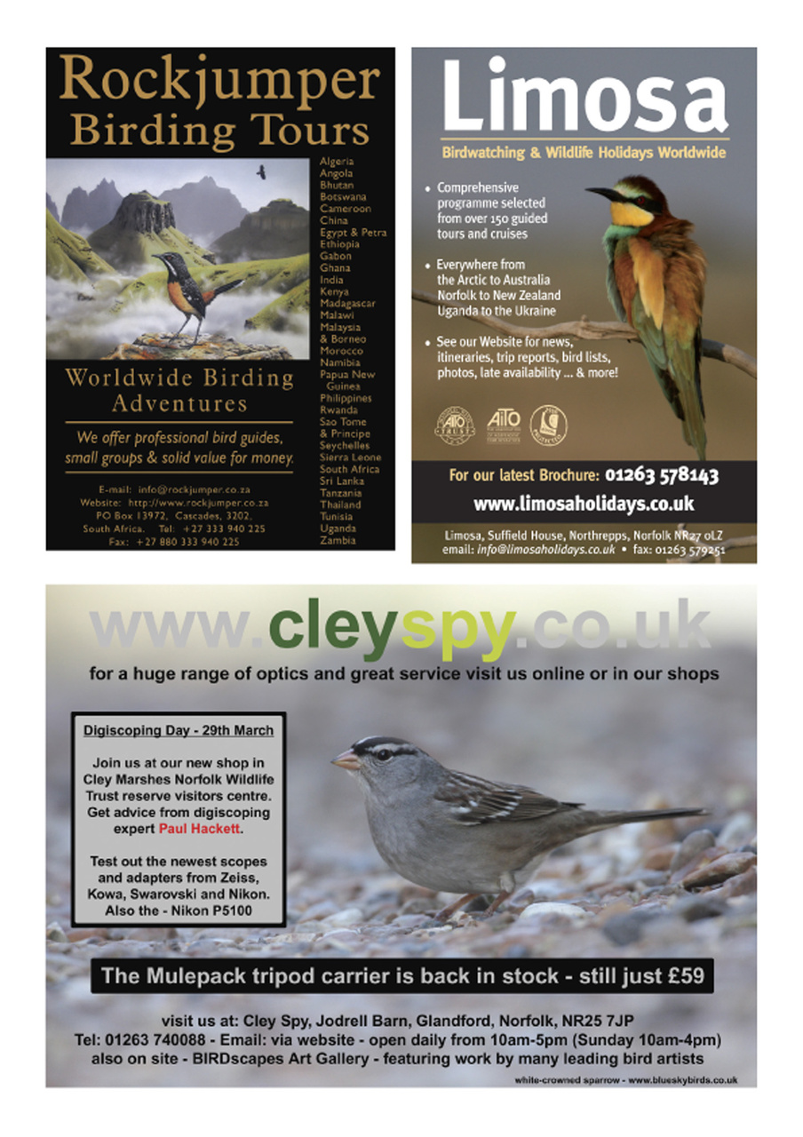 Birdwatch Magazine Preview Pages