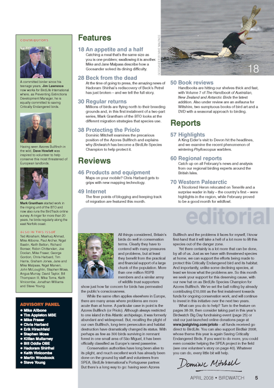 Birdwatch Magazine Preview Pages