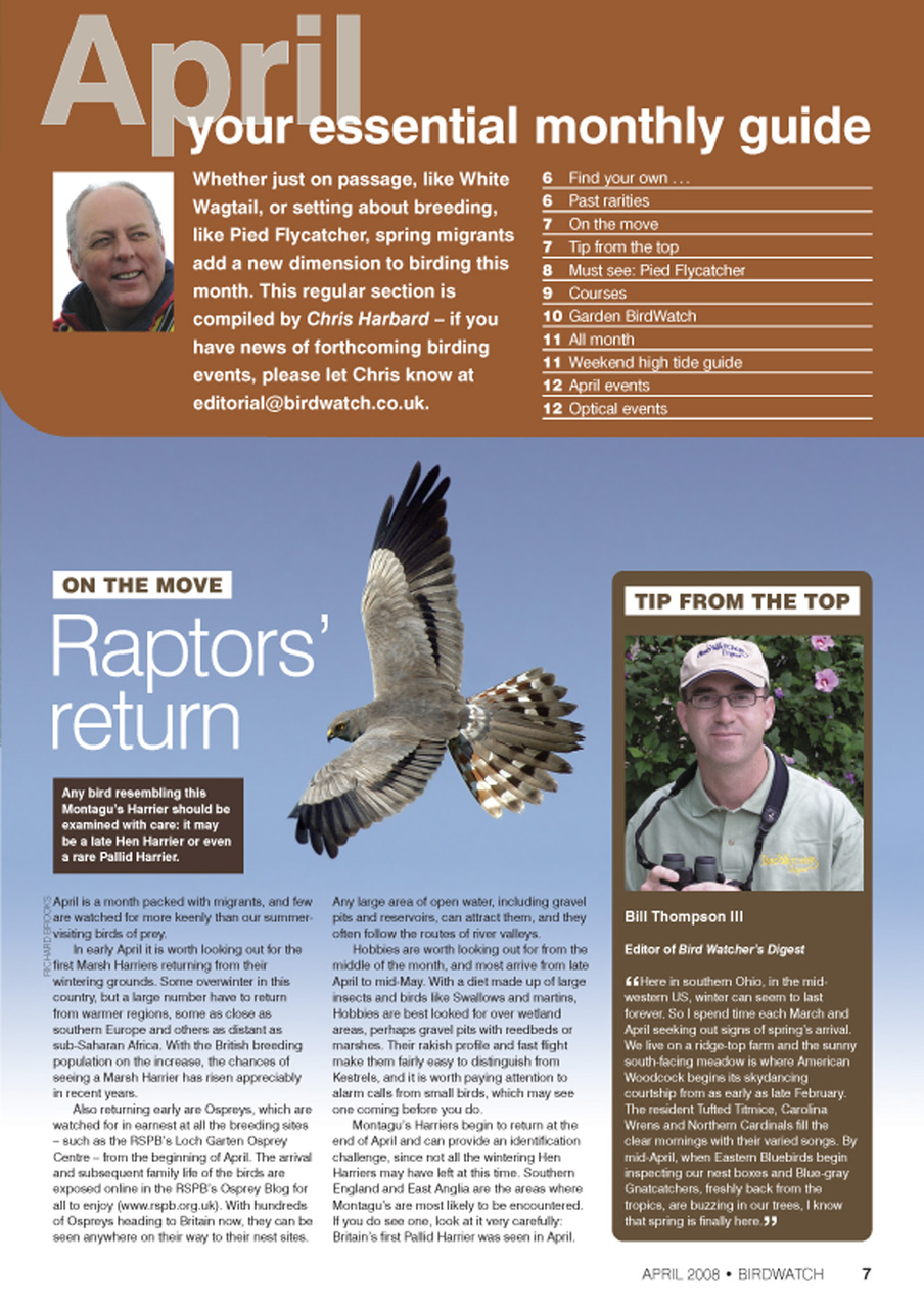 Birdwatch Magazine Preview Pages