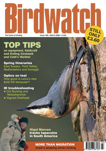 Birdwatch Magazine issue 