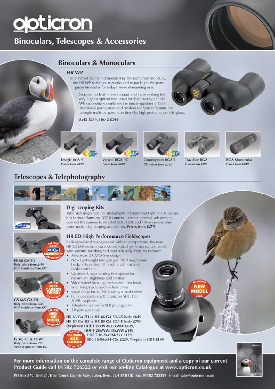 Birdwatch Magazine Preview Pages