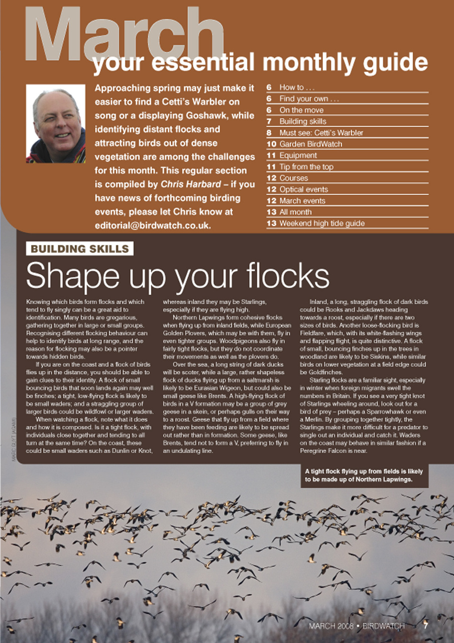 Birdwatch Magazine Preview Pages