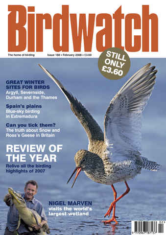 Birdwatch Magazine issue February 2008