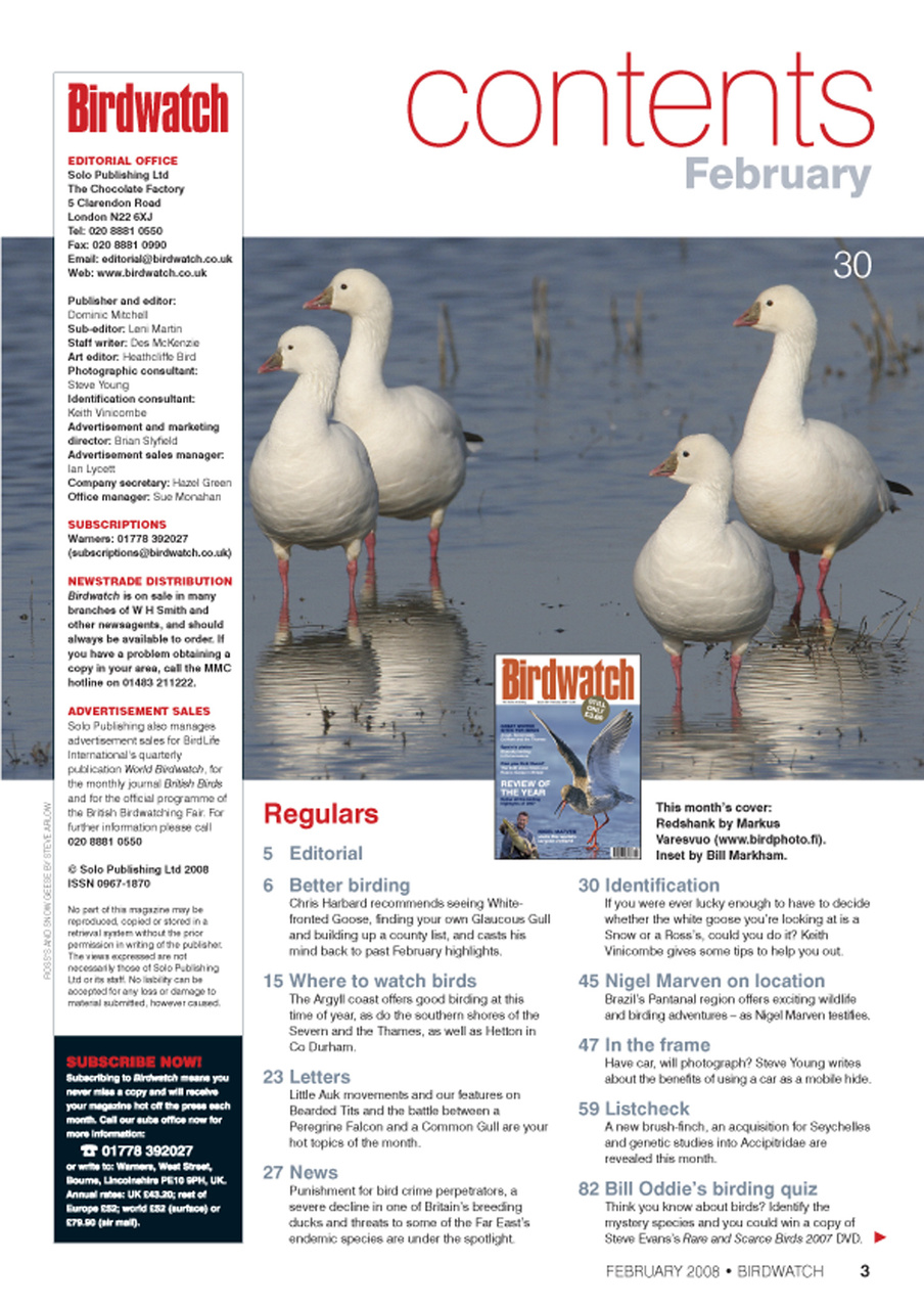 Birdwatch Magazine Preview Pages