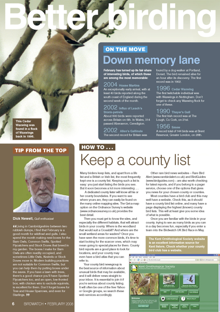 Birdwatch Magazine Preview Pages