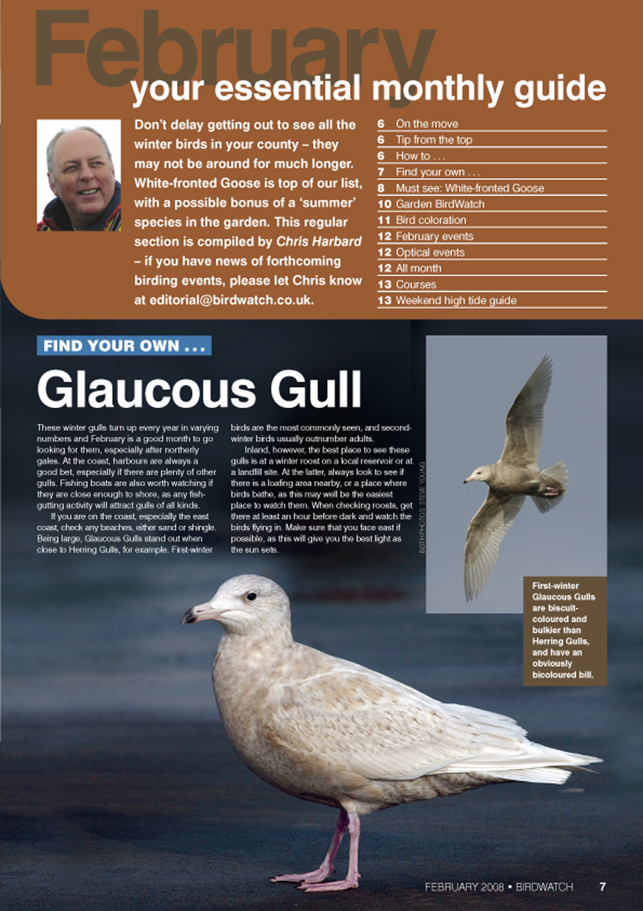 Birdwatch Magazine Preview Pages