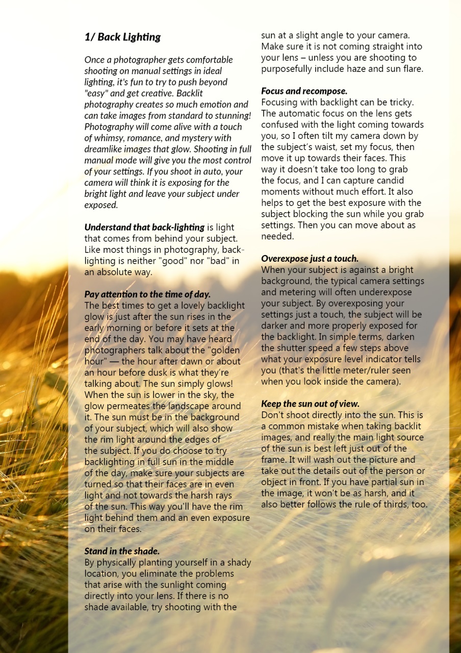 Lens Magazine Preview Pages