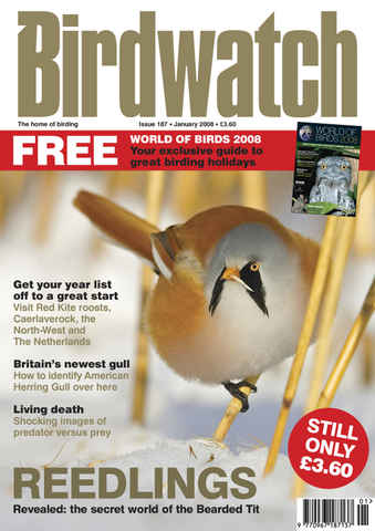 Birdwatch Magazine issue January 2008