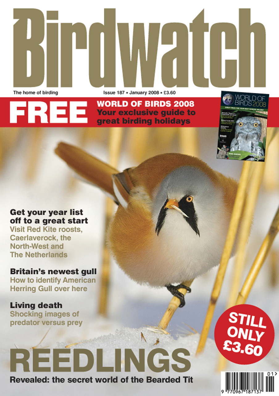 Birdwatch Magazine Preview Pages