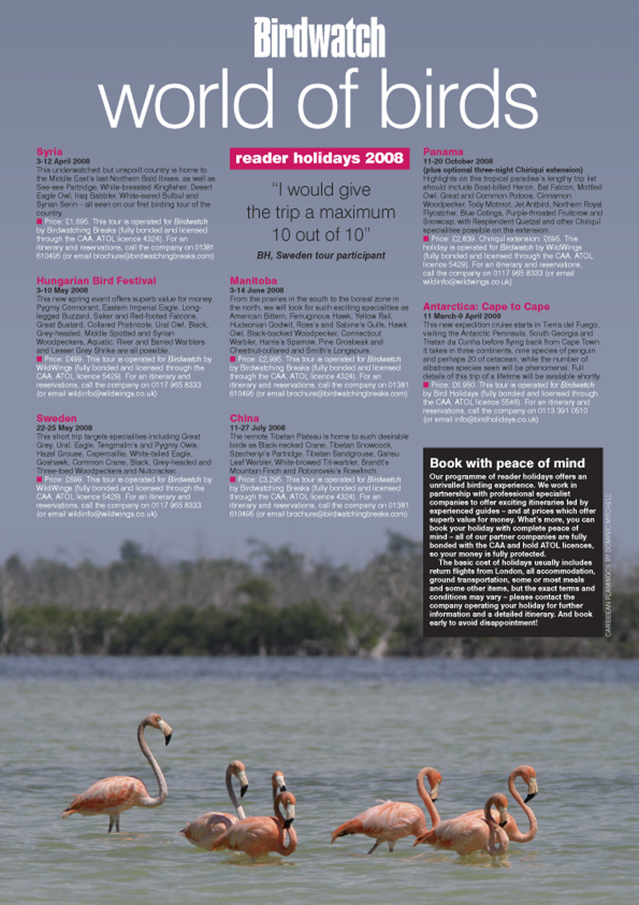 Birdwatch Magazine Preview Pages