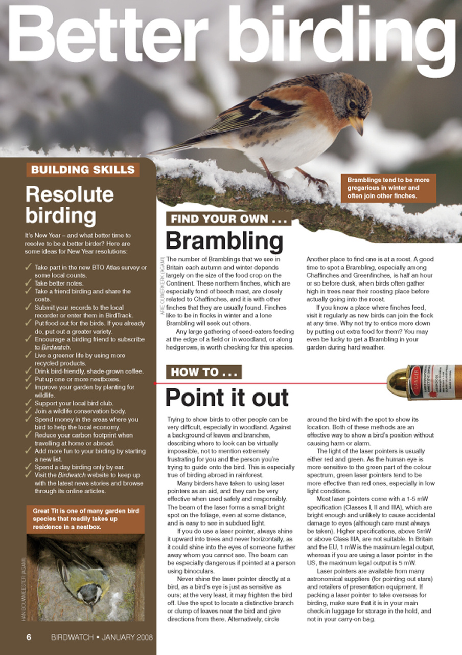 Birdwatch Magazine Preview Pages