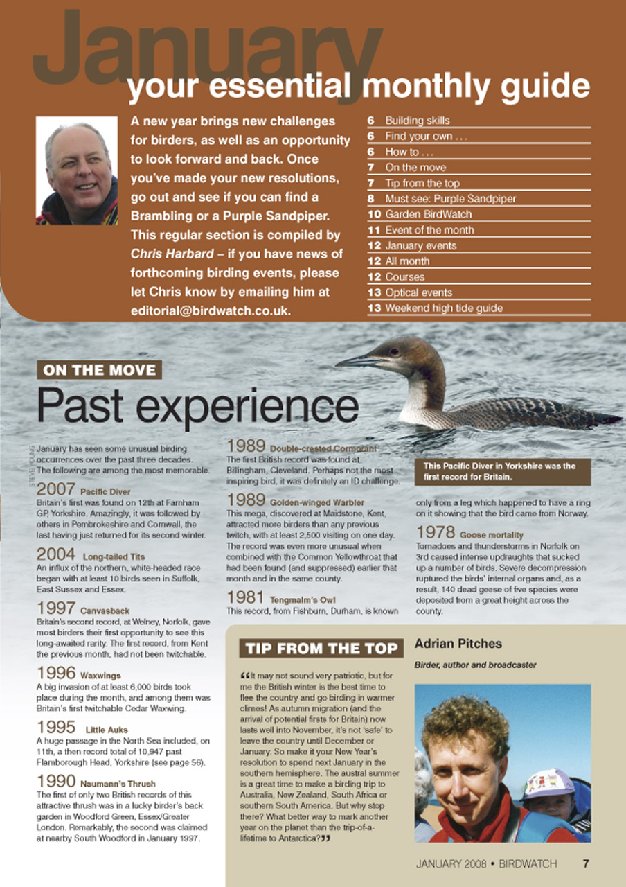 Birdwatch Magazine Preview Pages