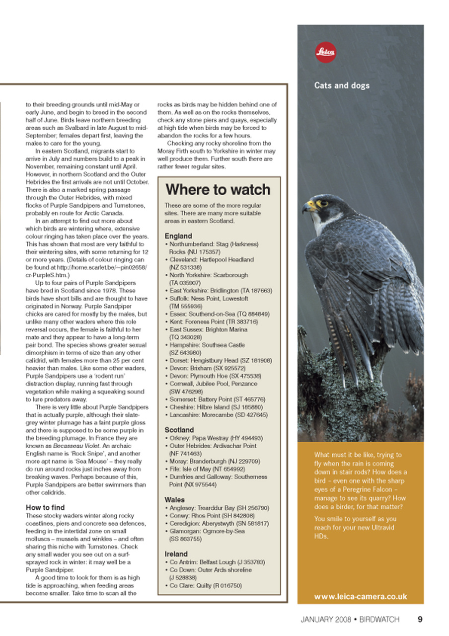 Birdwatch Magazine Preview Pages