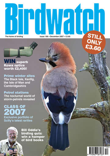 Birdwatch Magazine issue 