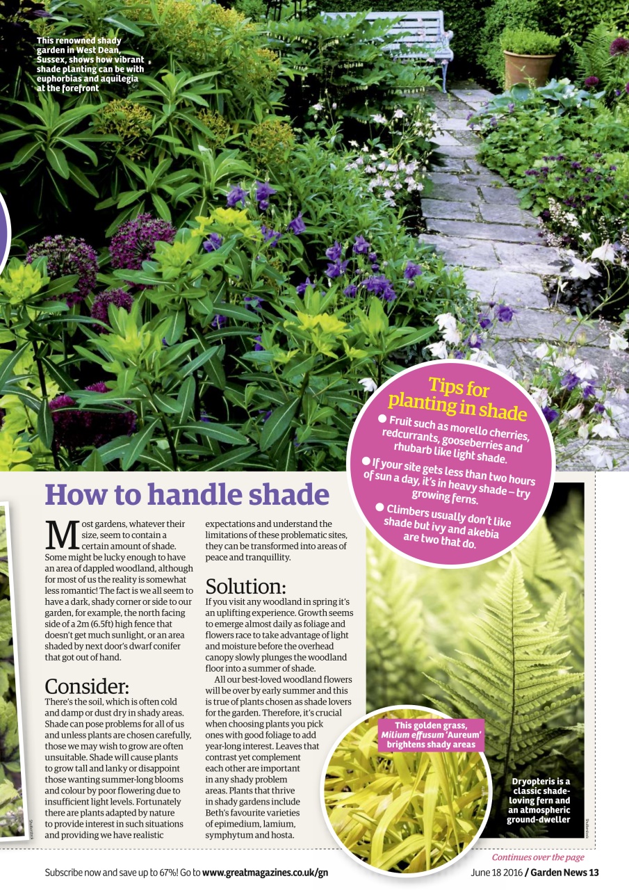 Garden News Preview Pages