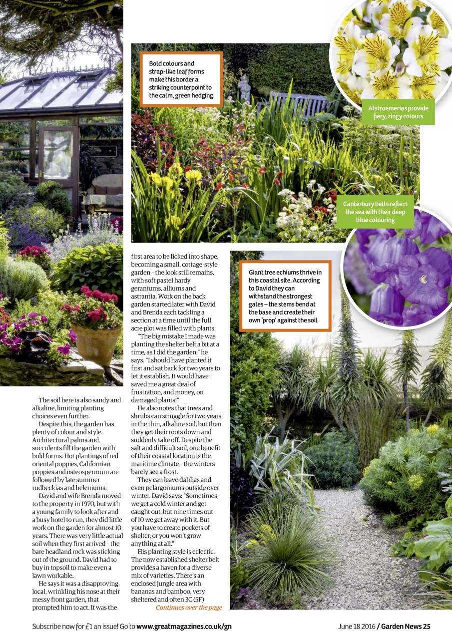 Garden News Preview Pages