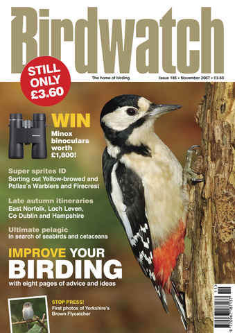 Birdwatch Magazine issue November 2007