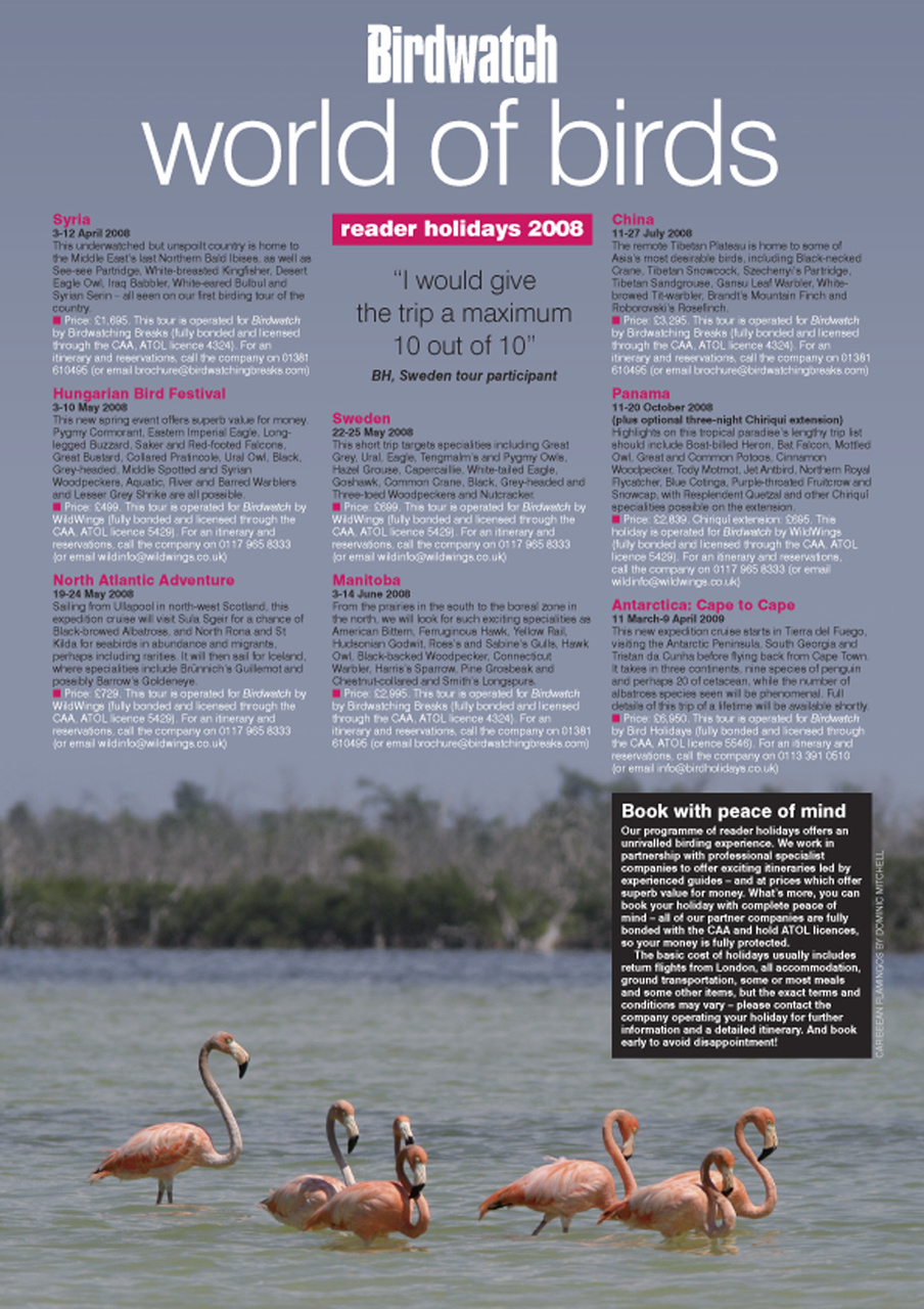 Birdwatch Magazine Preview Pages