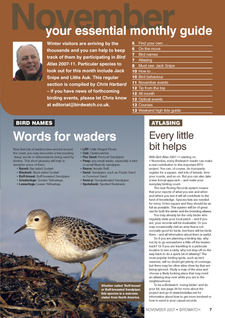 Birdwatch Magazine Preview Pages