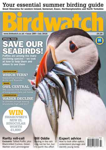 Birdwatch Magazine issue July 2016