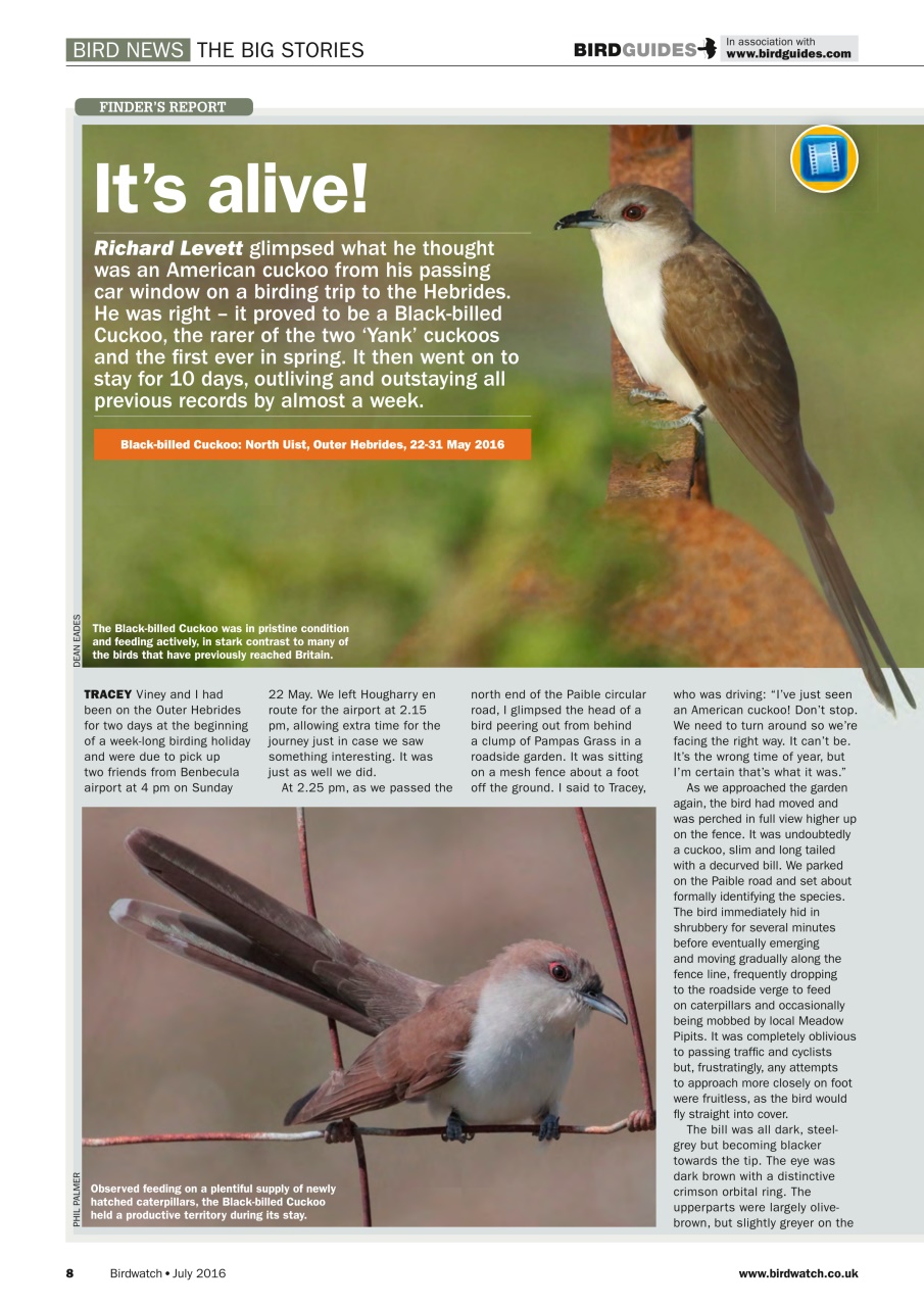 Birdwatch Magazine Preview Pages