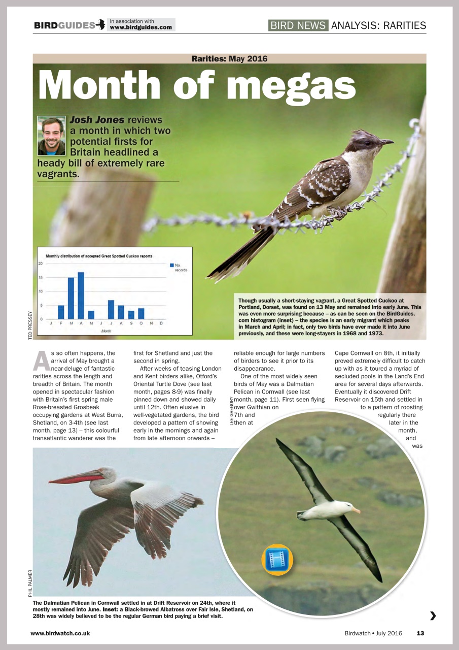 Birdwatch Magazine Preview Pages