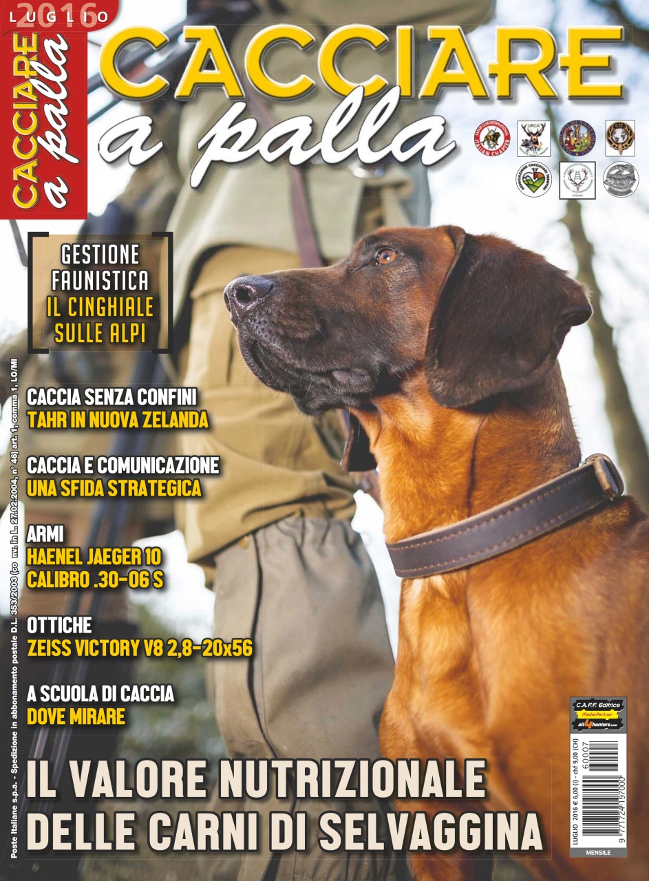 Caccia Magazine Preview Pages