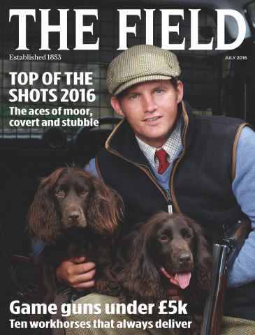 The Field issue July 2016