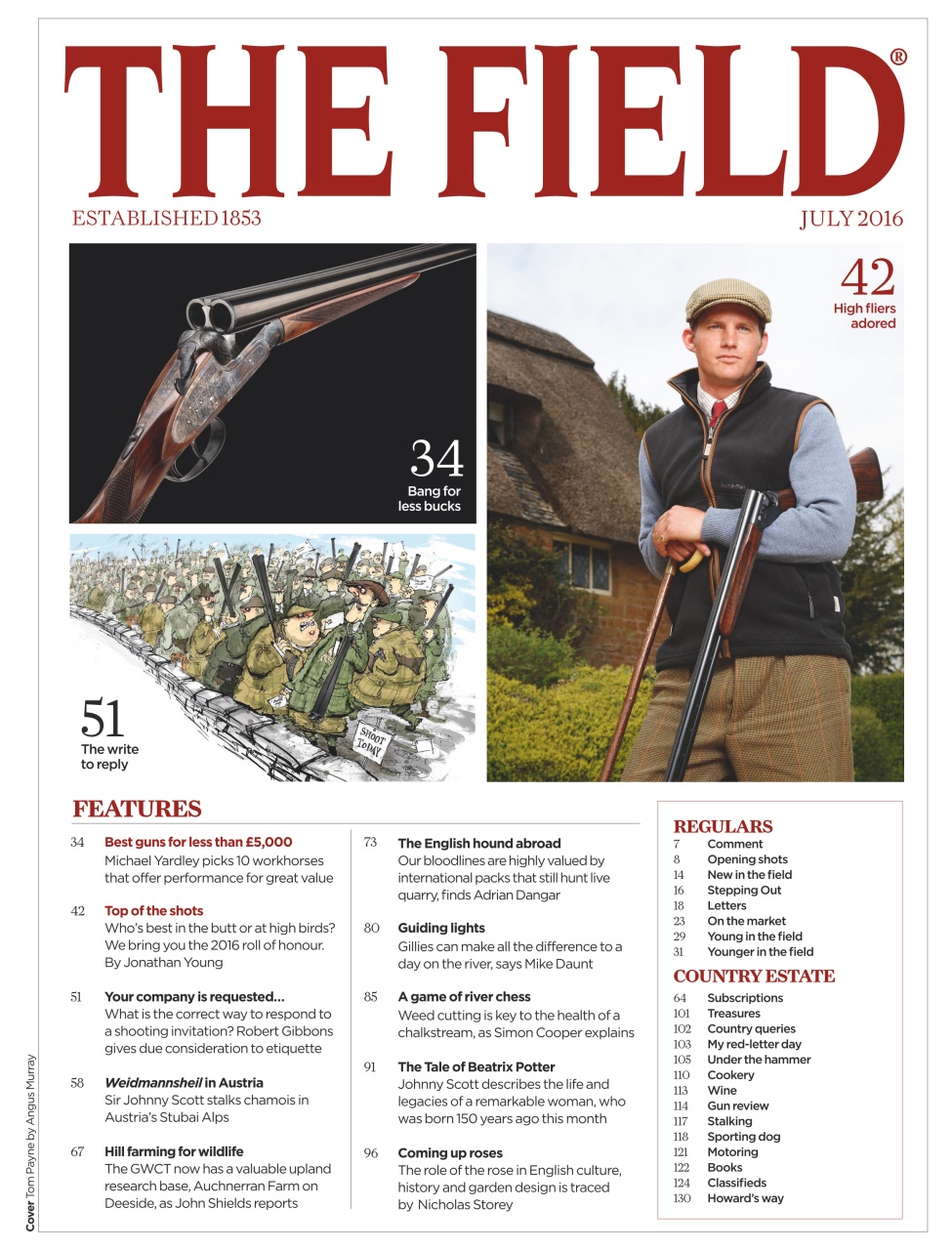 The Field Preview Pages