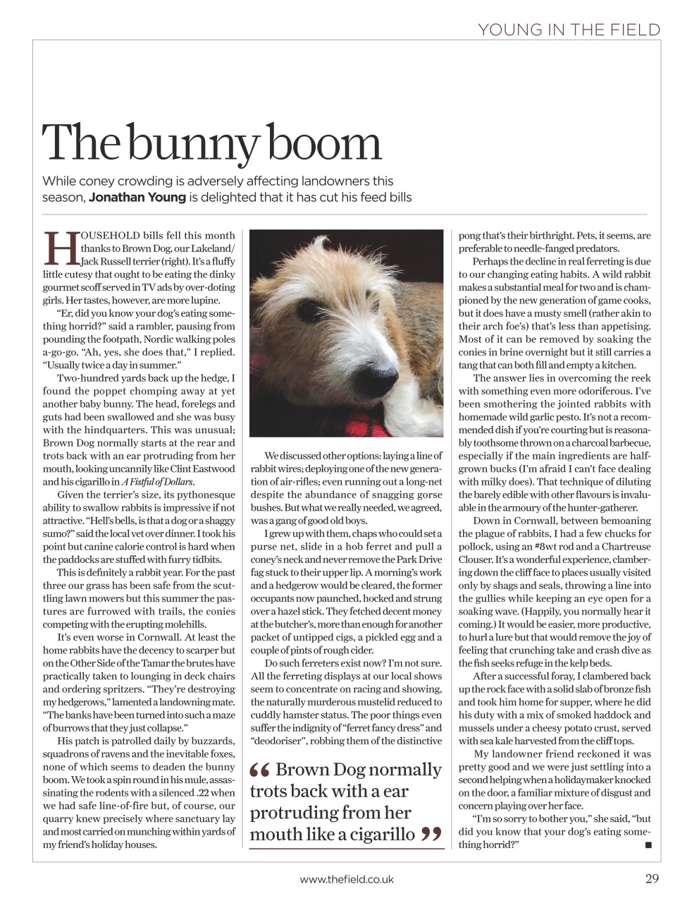 The Field Preview Pages