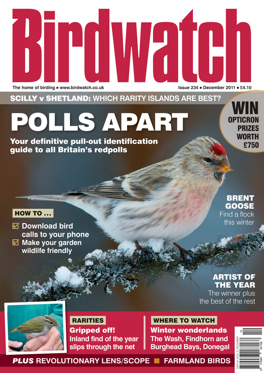 Birdwatch Magazine Preview Pages