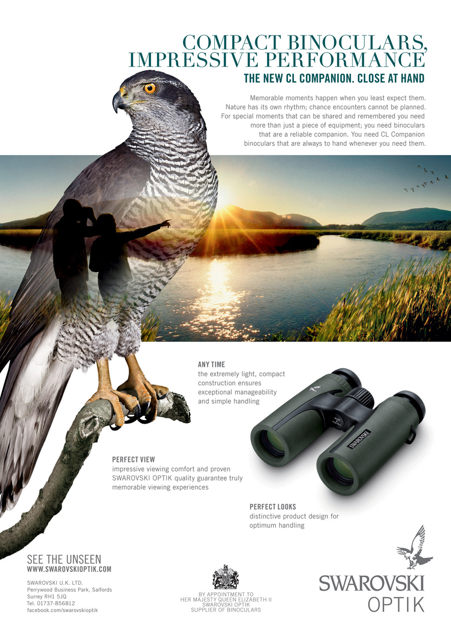 Birdwatch Magazine Preview Pages