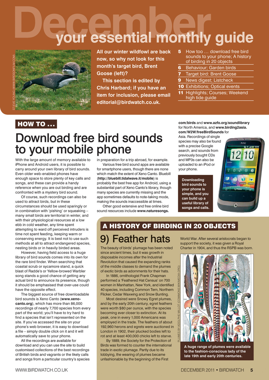 Birdwatch Magazine Preview Pages
