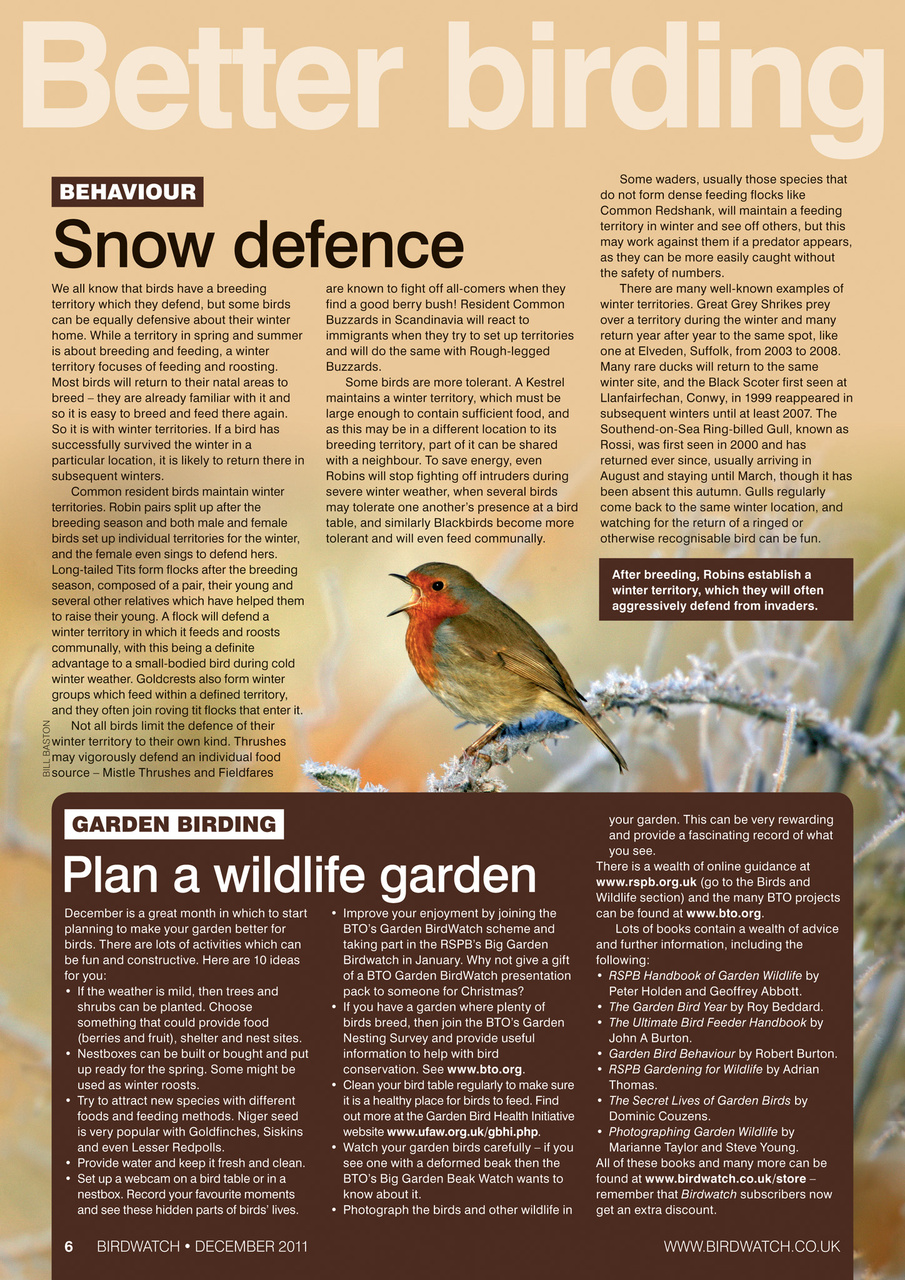Birdwatch Magazine Preview Pages