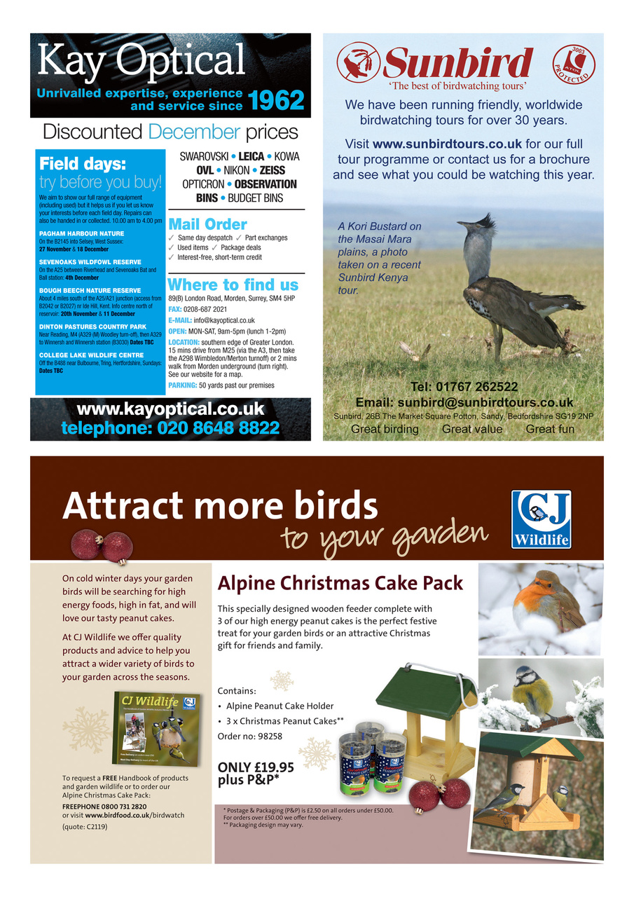 Birdwatch Magazine Preview Pages
