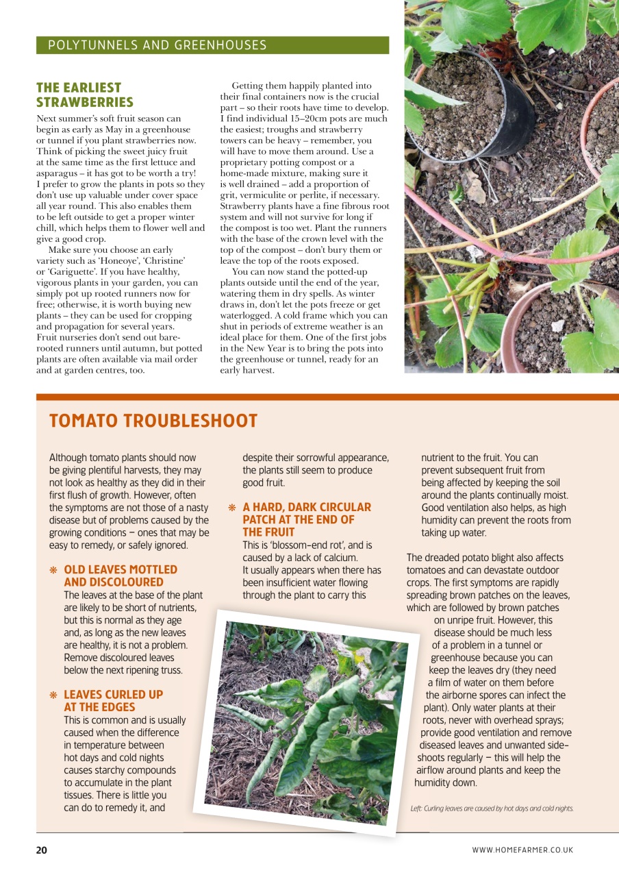 Home Farmer Magazine Preview Pages