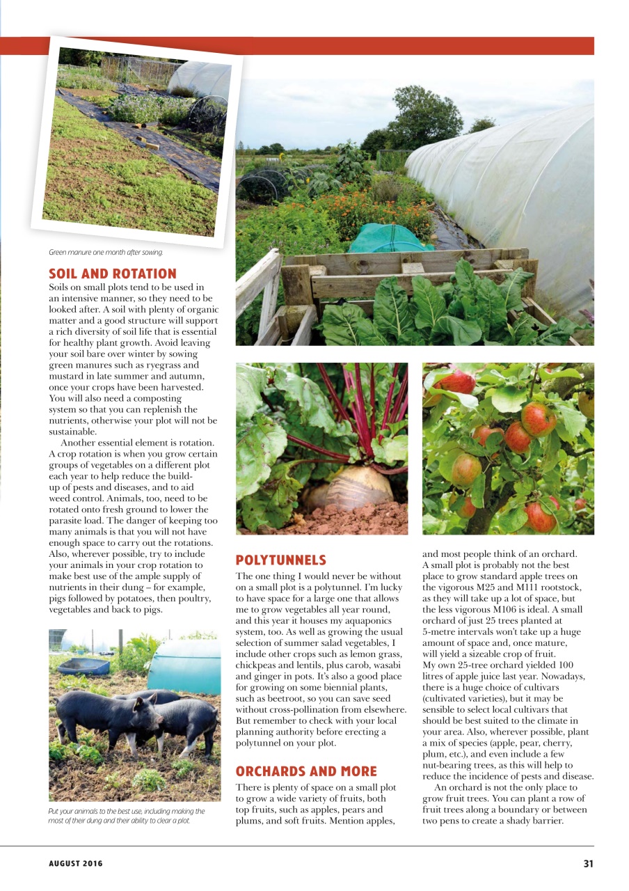 Home Farmer Magazine Preview Pages