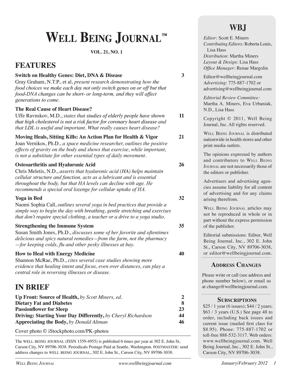 Well Being Journal Preview Pages