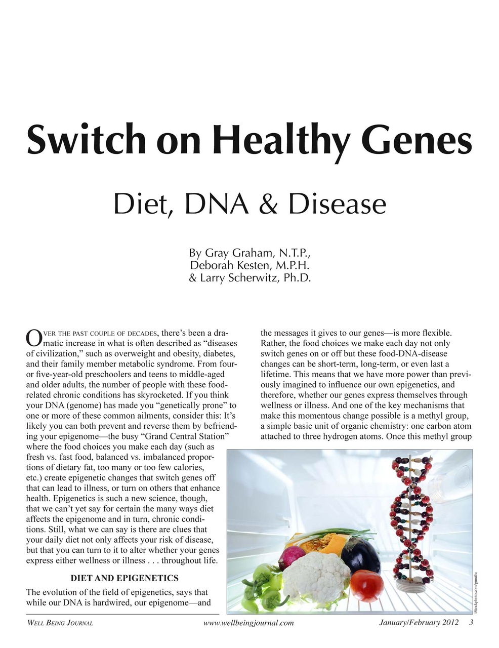 Well Being Journal Preview Pages