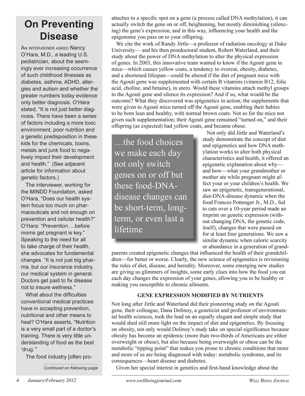 Well Being Journal Preview Pages