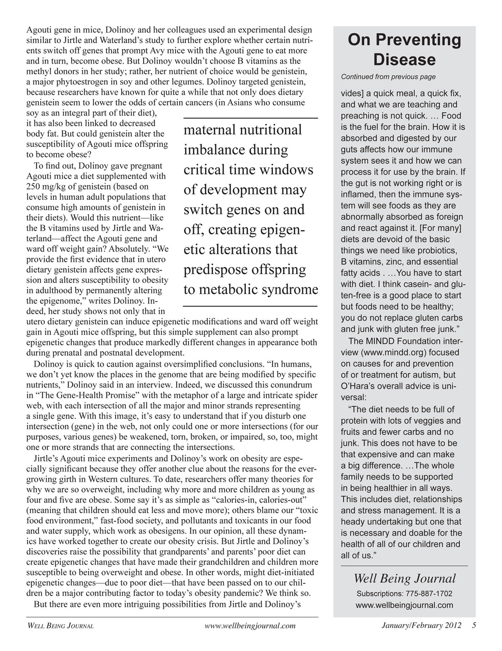 Well Being Journal Preview Pages