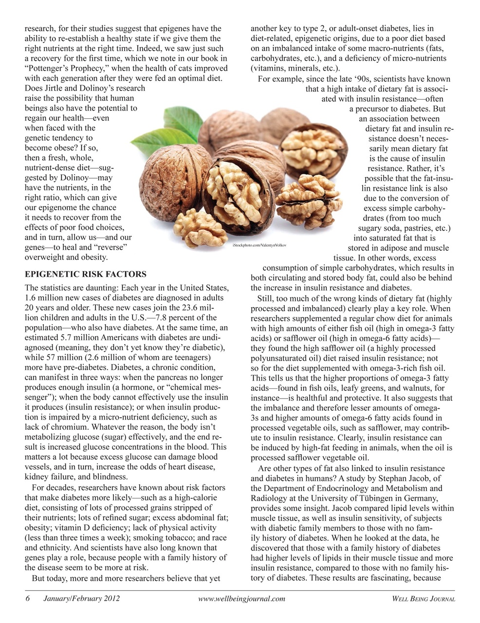 Well Being Journal Preview Pages