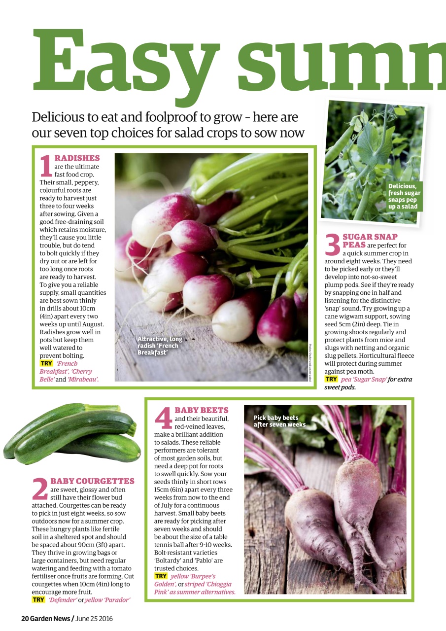 Garden News Preview Pages