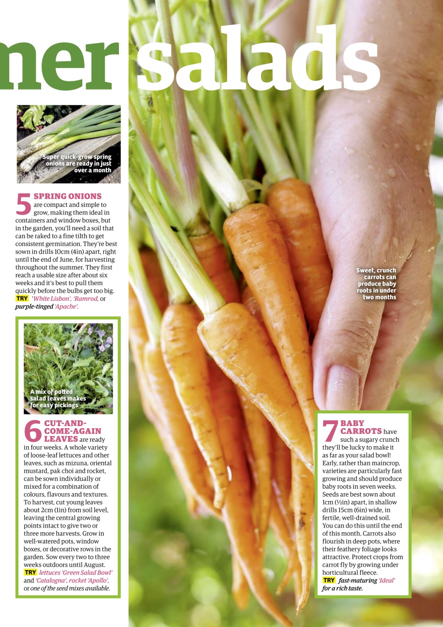 Garden News Preview Pages