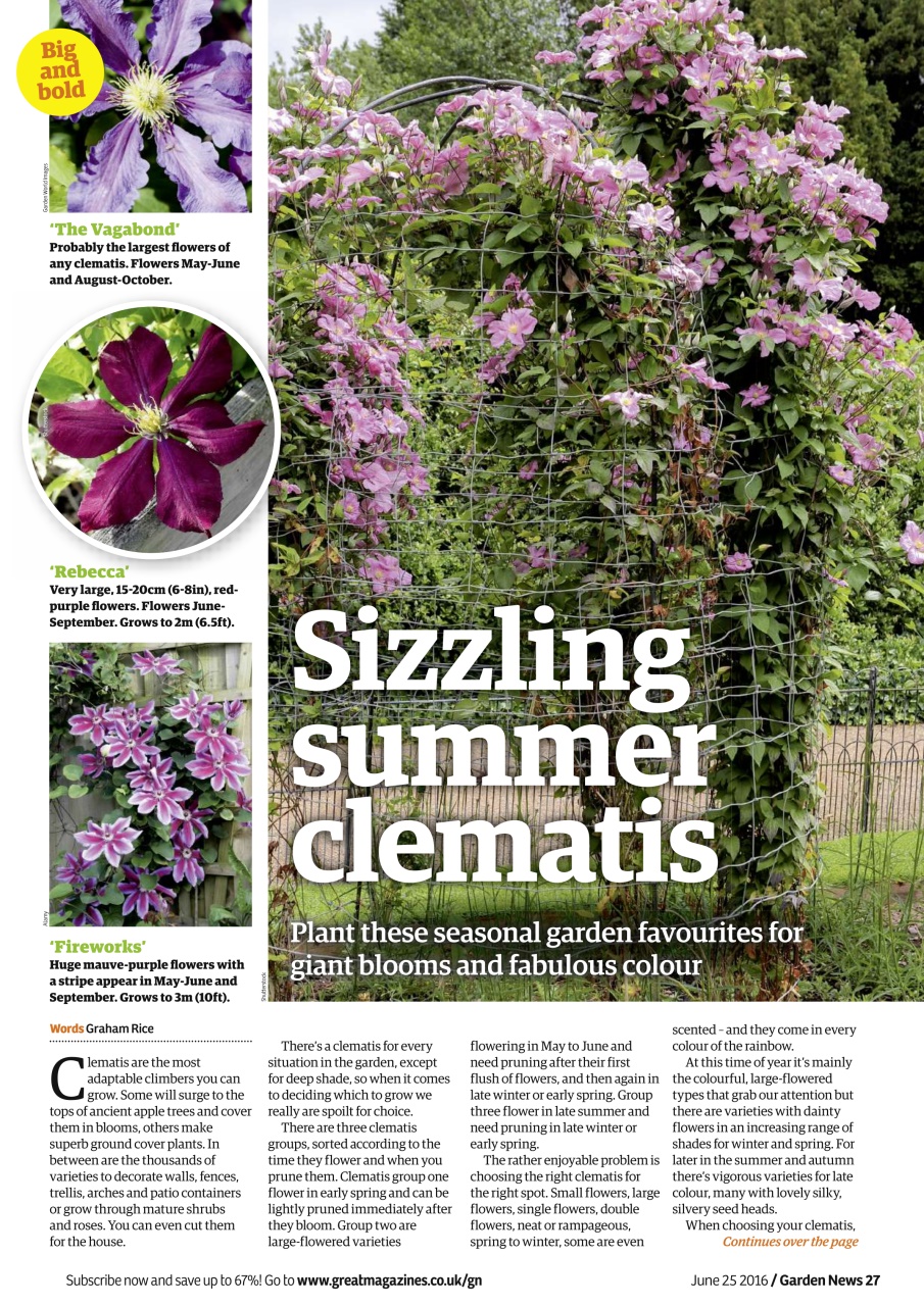 Garden News Preview Pages